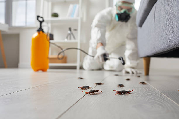 Trusted Cockroach Control service in South Willard, UT - Nex Pest Control