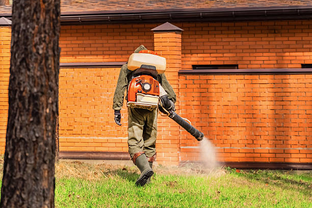 Trusted Termite Control service in South Willard, UT - Nex Pest Control